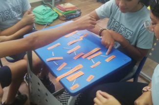 The Farm A Multisensory Story/Teaching Resource + 101 themed activities