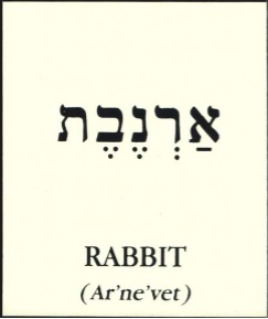 Basic Hebrew words