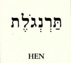 Cool Hebrew words