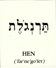 Cool Hebrew words