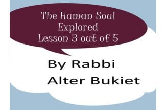 Human Soul Explored – Lesson 2