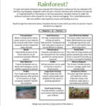 Human Impacts On The Rainforest (Urucu Gas Project)