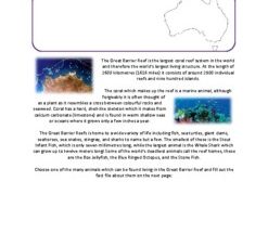Paricutin Volcano – Writing Comprehension