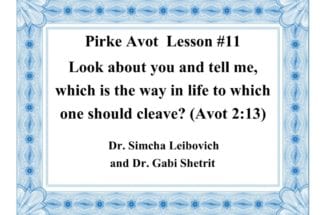 Pirke Avot—To Learn and to Do  Lesson #12—Pray for the Welfare of the Government (Avot 3:2)
